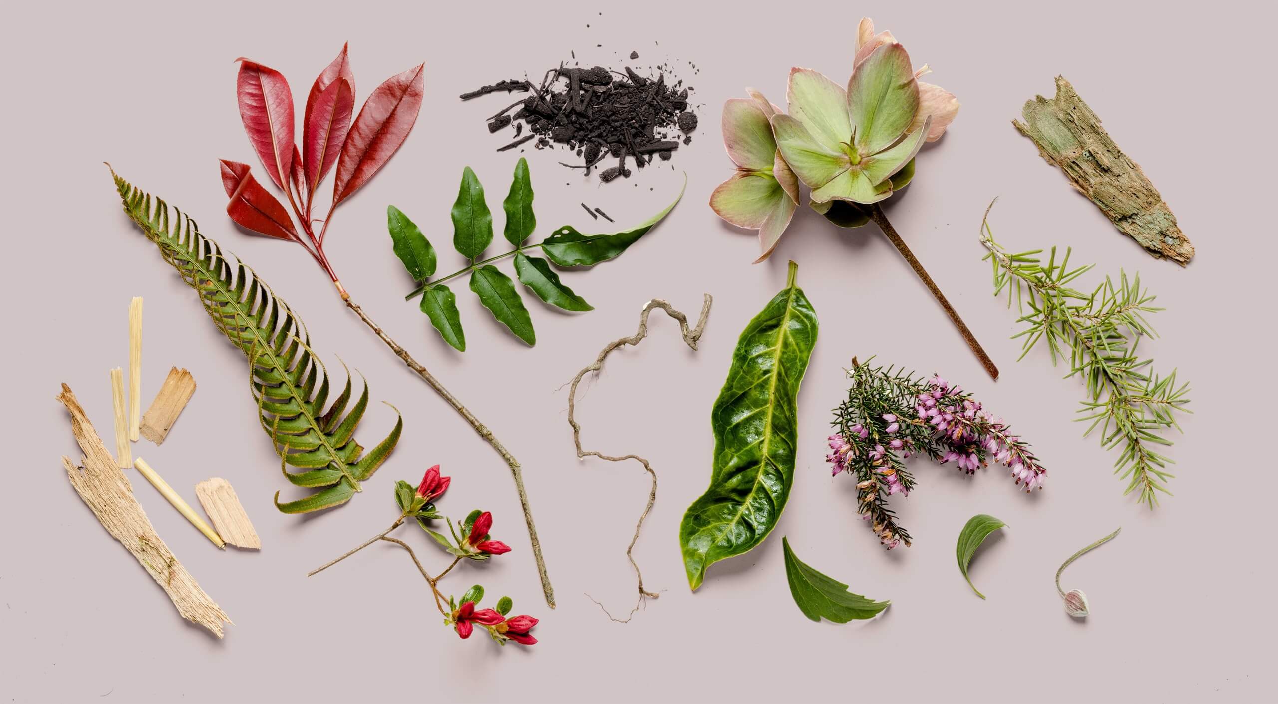 picture of natural items for a funeral