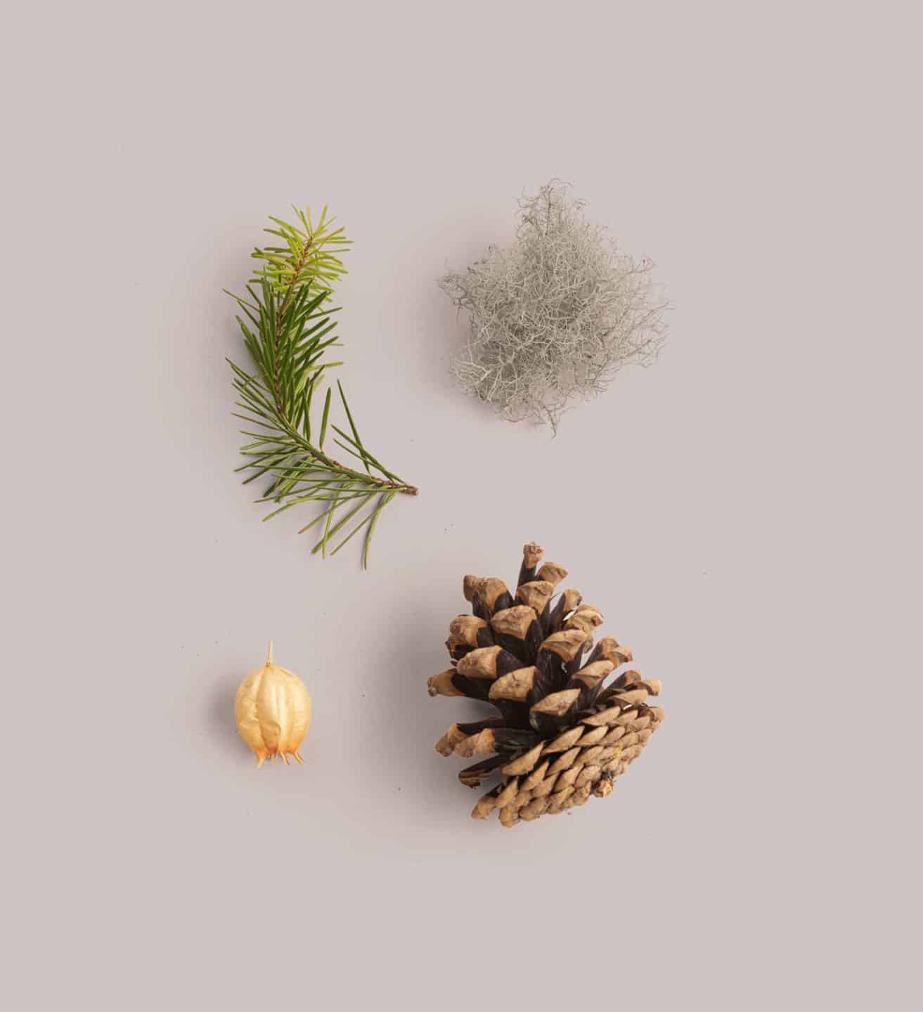 items from nature