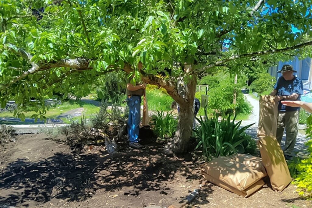 tree with people under it and bags of compost