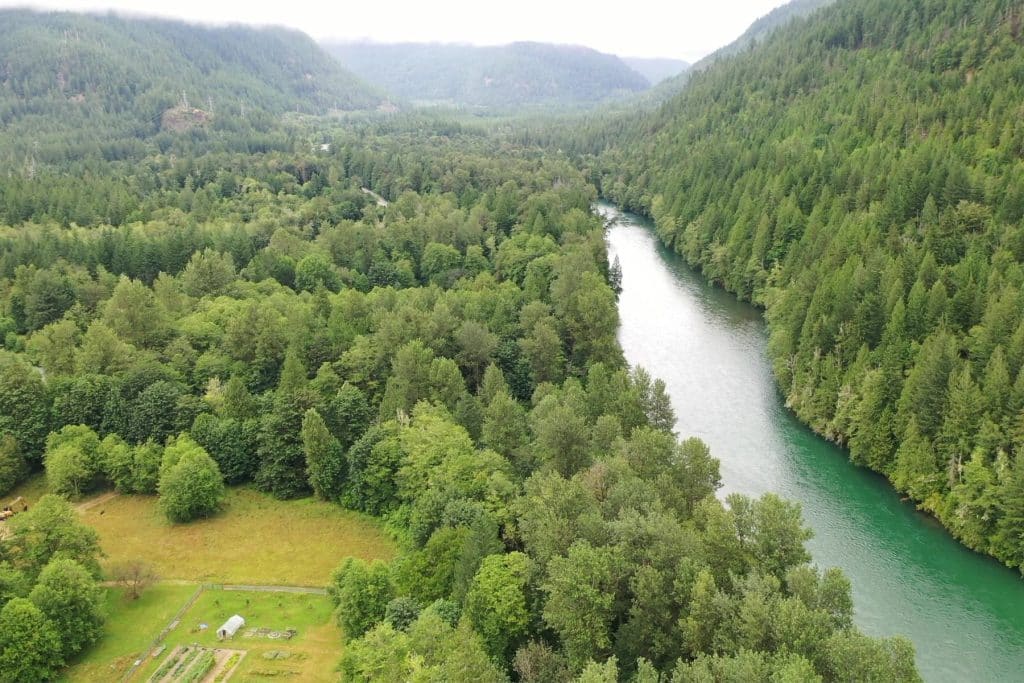 river running through a forested area with a farm