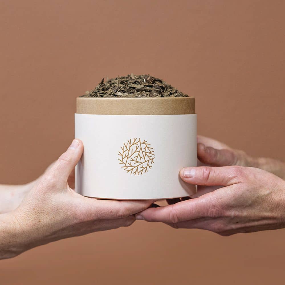 hands holding container overflowing with soil