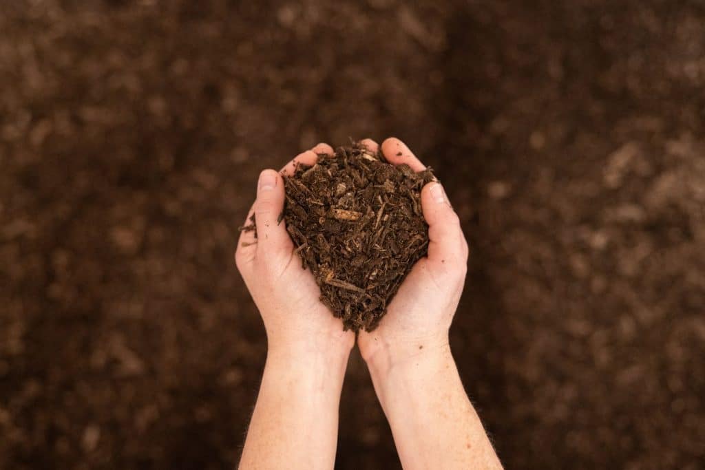 hands holding human composting soil