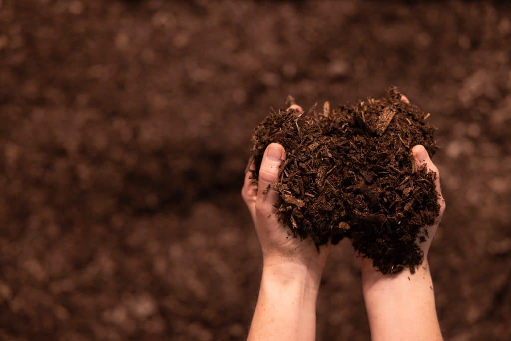 hands in soil